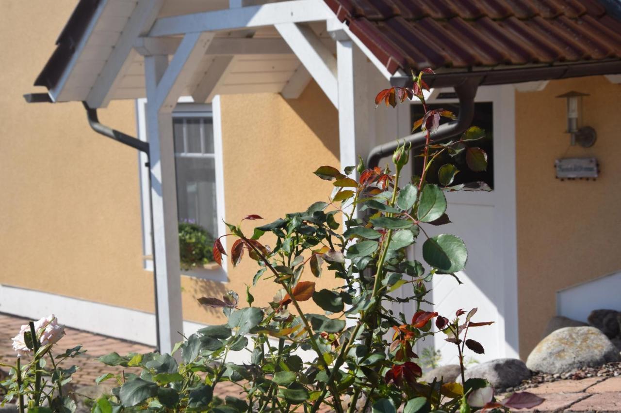 Apartment Lavendel
